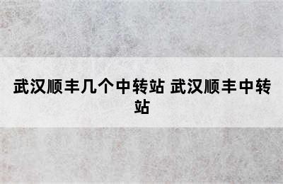 武汉顺丰几个中转站 武汉顺丰中转站